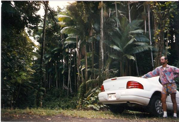 Man standing beside a white car among tropical palm trees