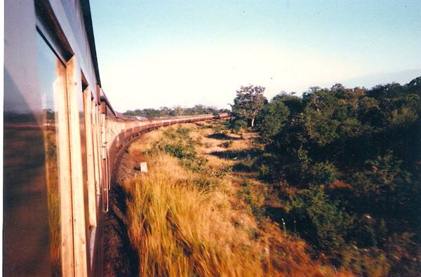 Train curving through bushes and dry grass, windows reflecting sunlight