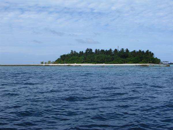 Tropical island with palm trees and white sand surrounded by blue sea