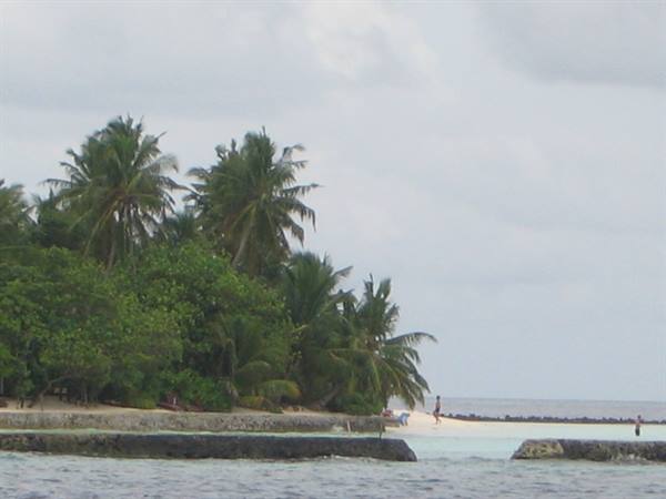 Beach with coconut palms and white sand, clear water under cloudy sky