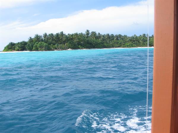 Tropical island with palms seen from the boat, turquoise water, white wake