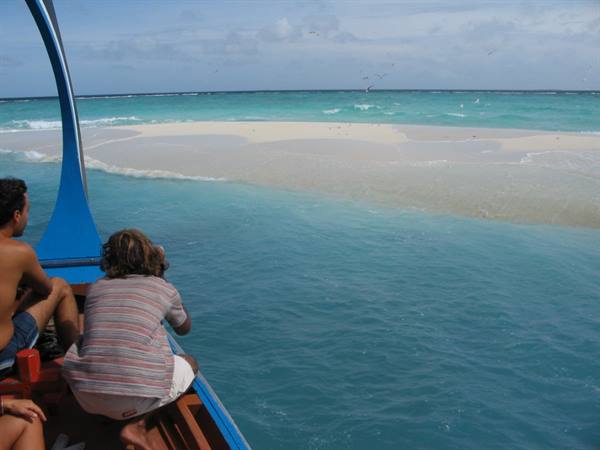 Tourists on a blue boat facing a white sandbank surrounded by turquoise water
