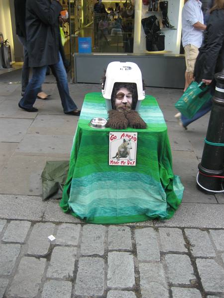 Man in dog costume under white kennel on cobbled pavement