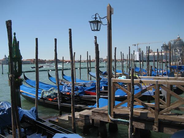 Blue-covered gondolas moored to wooden poles in the Venice lagoon