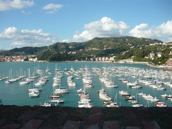 Many yachts and sailboats moored in the harbor beneath green hills