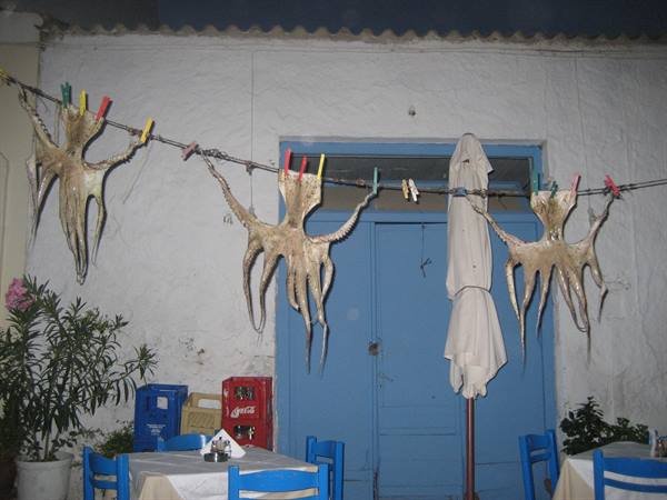 Octopuses hanging to dry on a line outside a Greek taverna