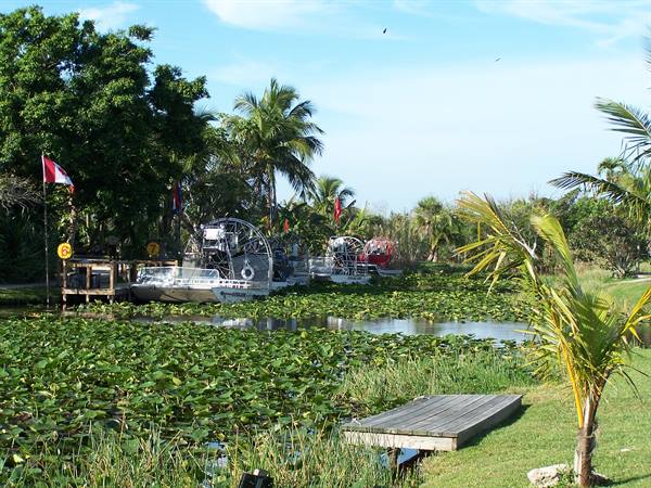 EVERGLADES