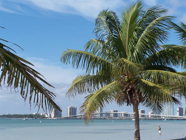 MIAMI