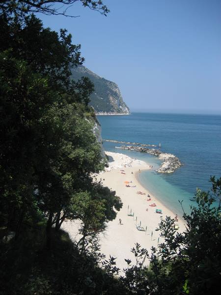 Sandy beach with umbrellas framed by green trees and cliffs at Conero