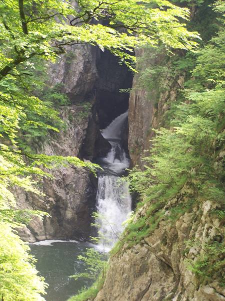 Waterfall between limestone rocks and green trees, water flowing into a pool