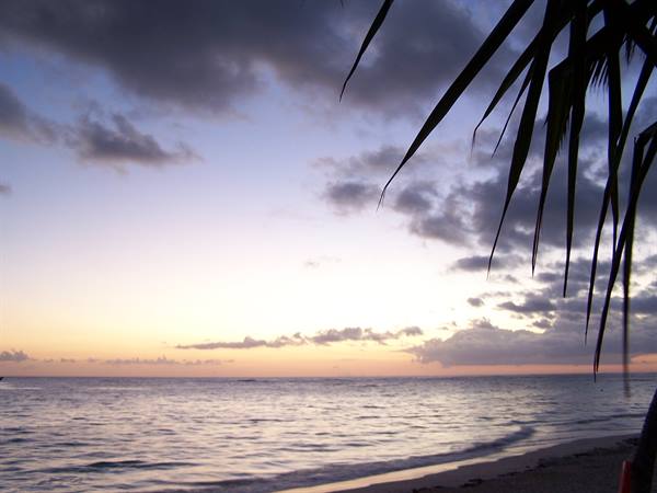Dawn