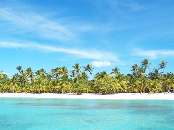 White sand beach with palm trees and turquoise sea under blue sky