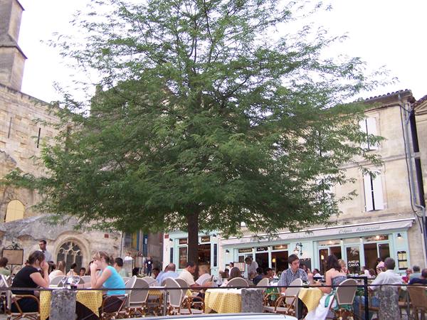 SAINT EMILION