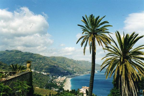 Palm trees above the bay, beaches and green hills of Taormina