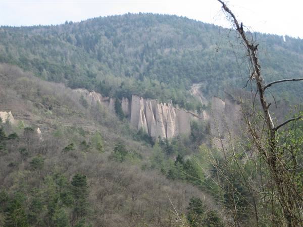 Earth pyramids rising among conifer woods, bare branches in the foreground, soft light