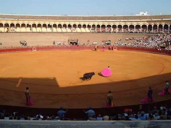 The bullfight