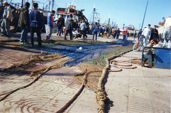Fish market