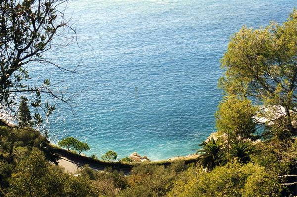 Turquoise bay framed by pines and palms, road winding on sunny green slope
