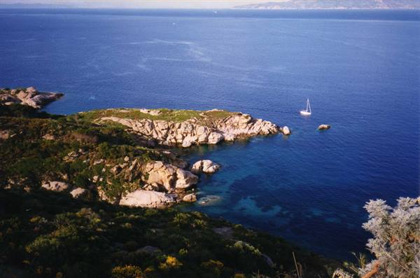 Granite rocks and Mediterranean scrub, a white sailboat on blue sea
