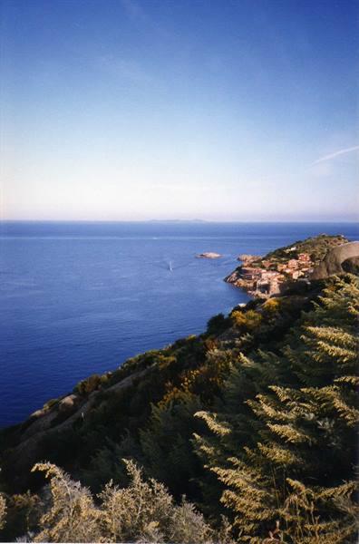 Coastal village on green hillside, houses overlooking the deep blue sea at Marciana Marina