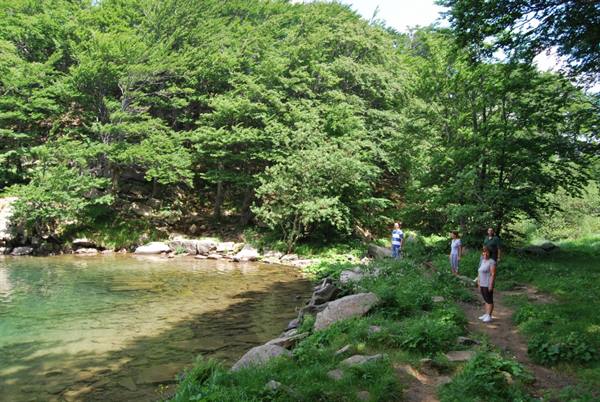 Hikers standing by a rocky lake shore under dense green beech trees