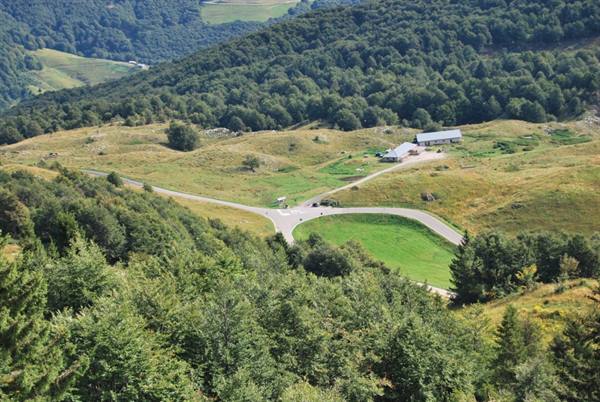 Dirt road forks on green meadow among woods, farmhouse with gray roof