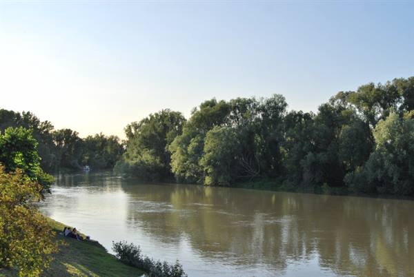 Muddy river with dense riverside trees, a person sitting on the grass