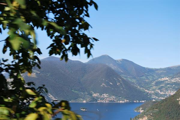 Green leaves frame mountains above a blue lake with small boats