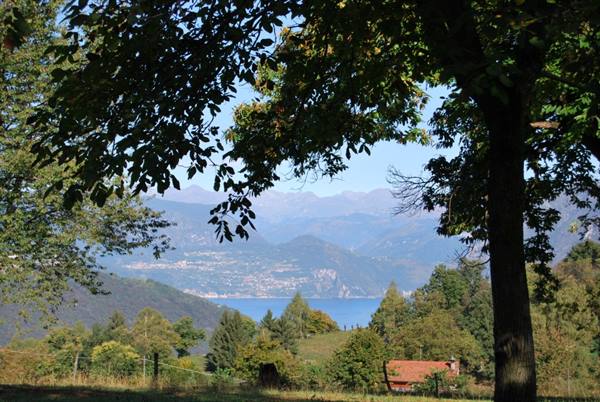 Lake Como framed by branches, small red-roofed house among the trees