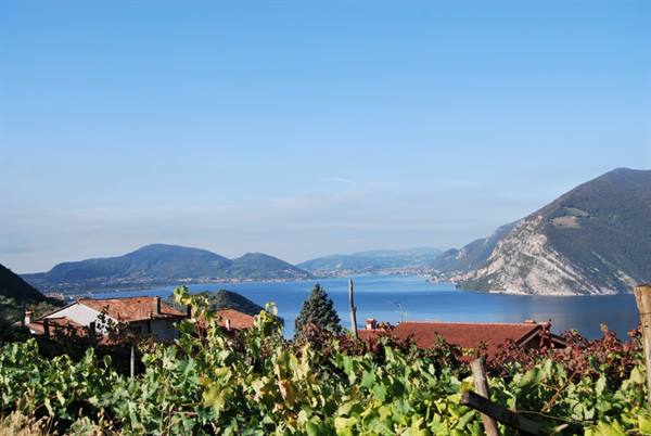 Vineyards and red rooftops over Lake Iseo with Monte Isola beyond