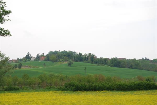 Green hills with houses and trees, yellow flowering field in foreground