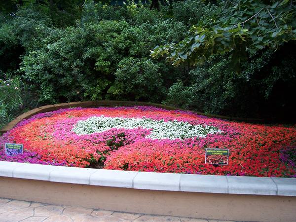 Curved flowerbed with red, pink and white flowers among green bushes