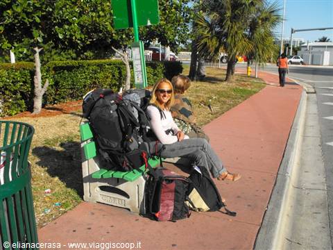 Backpacker waiting at the Key West bus stop bench under sunny palm trees