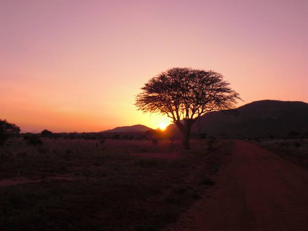 SUNSET TSAVO EAST
