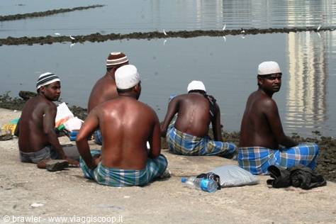 Men in checked lungis sitting on the shore by calm water with egrets