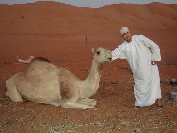 Man in white dishdasha pets a resting camel by red desert dunes