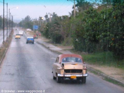 Vintage car on a road in Cuba, tropical vegetation on the sides
