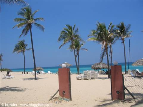 White sand beach with palm trees, thatched umbrellas and loungers under blue sky