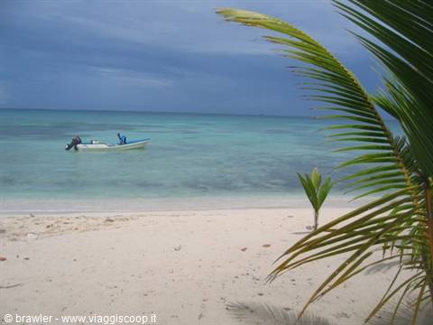 White motorboat on turquoise sea, sandy beach with palm fronds, cloudy sky