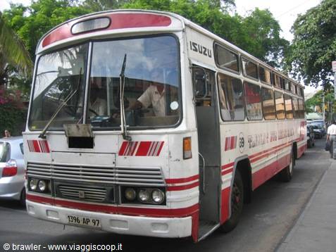 White and red Isuzu bus with open door, driver at the wheel