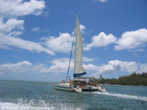 White-sailed catamaran sailing on turquoise sea, people on deck, green shore