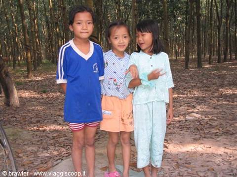 Three smiling girls standing among slender trees, soft daylight on dry leaves