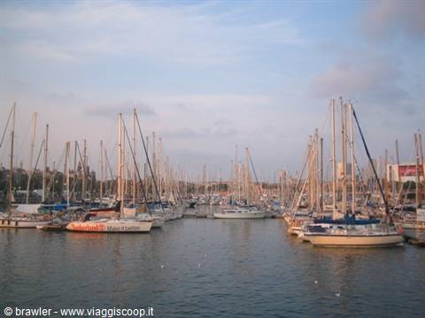 Marina crowded with moored sailboats, tall masts against the evening sky