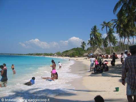 Swimmers and tourists on white sand beach lined with palm trees