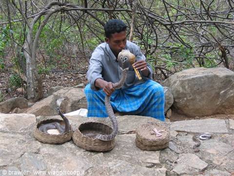Snake charmer playing flute to a cobra among wicker baskets on rocks
