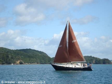 Sailboat with rust-colored sails glides past green forested hills