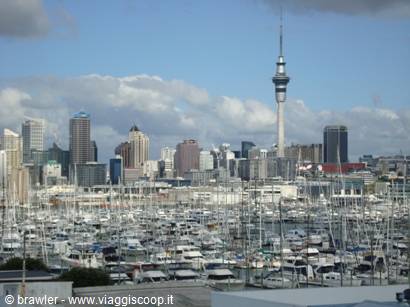 Auckland Sky Tower rising above a marina full of boats and skyscrapers