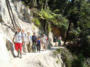Hikers walk along a rocky cliffside trail among ferns and trees