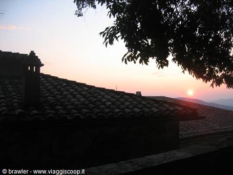 Terracotta tiled rooftops at dusk, low sun behind tree branches