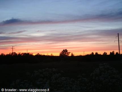 Orange sunset sky with power lines and silhouetted trees